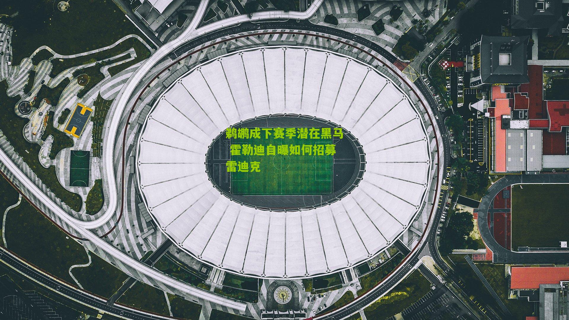 鹈鹕成下赛季潜在黑马 霍勒迪自曝如何招募雷迪克