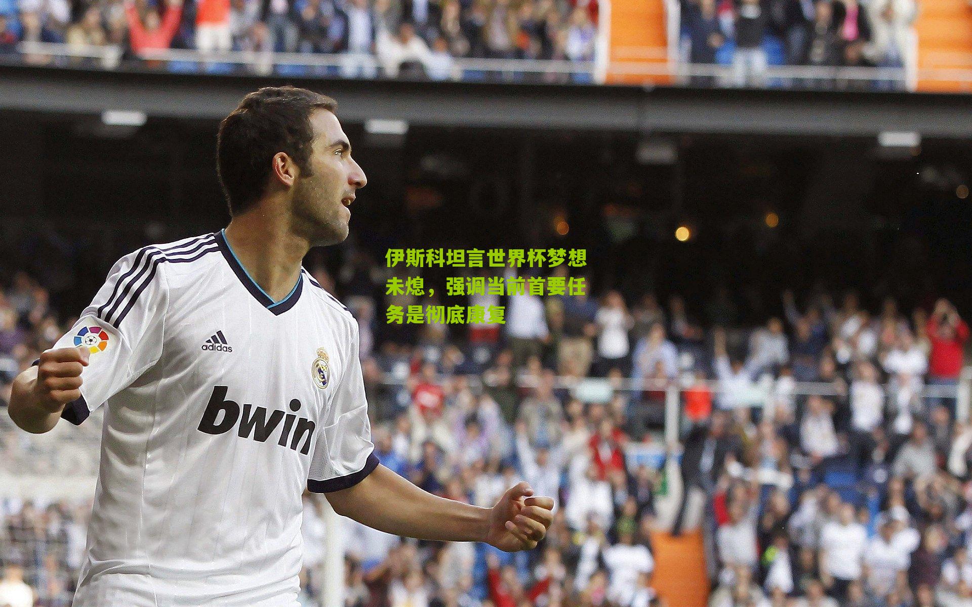伊斯科坦言世界杯梦想未熄，强调当前首要任务是彻底康复