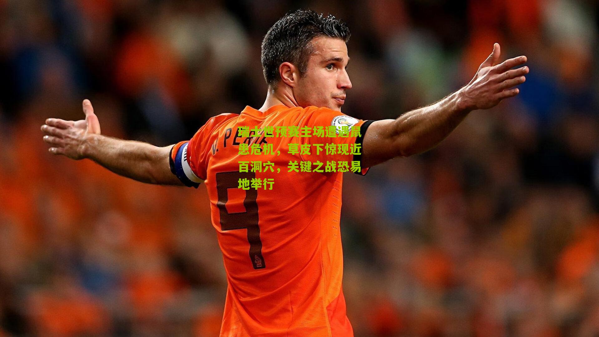 瑞士世预赛主场遭遇鼠患危机，草皮下惊现近百洞穴，关键之战恐易地举行