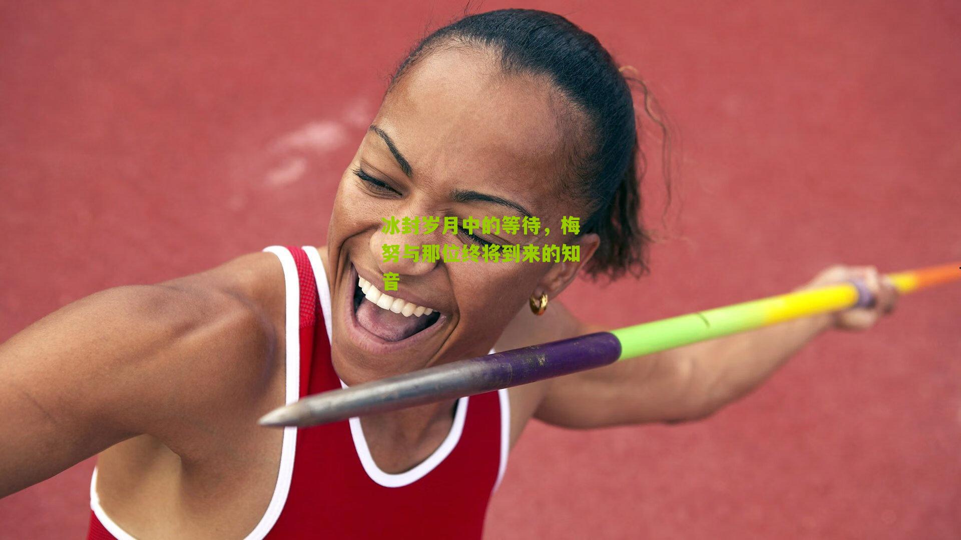 冰封岁月中的等待，梅努与那位终将到来的知音